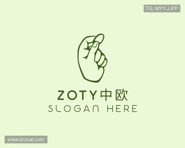 认识zoty中欧